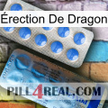 Érection De Dragon 40